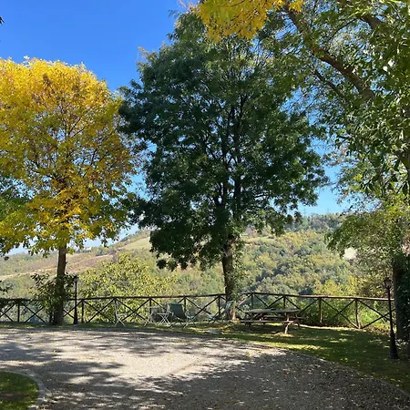 Antico Podere San Luca - Bed&Breakfast-2